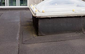 disadvantages of Horn Street flat roofs